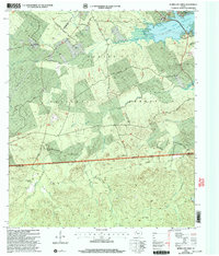 Download a high-resolution, GPS-compatible USGS topo map for Hurricane Creek, TX (2004 edition)