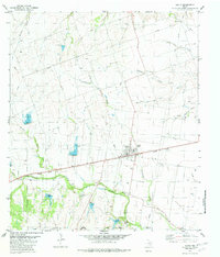 Download a high-resolution, GPS-compatible USGS topo map for Hutto, TX (1982 edition)