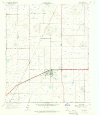 Download a high-resolution, GPS-compatible USGS topo map for Idalou, TX (1966 edition)