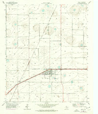Download a high-resolution, GPS-compatible USGS topo map for Idalou, TX (1976 edition)