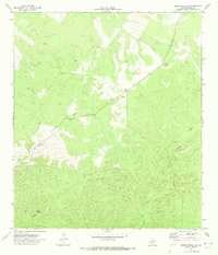 Download a high-resolution, GPS-compatible USGS topo map for Indian Creek NE, TX (1974 edition)