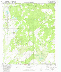 Download a high-resolution, GPS-compatible USGS topo map for Indian Creek, TX (1980 edition)