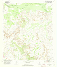 Download a high-resolution, GPS-compatible USGS topo map for Indian Mesa NE, TX (1973 edition)