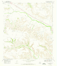 Download a high-resolution, GPS-compatible USGS topo map for Indian Mesa SE, TX (1973 edition)