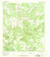 preview thumbnail of historical topo map of Edwards County, TX in 1967