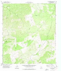 Download a high-resolution, GPS-compatible USGS topo map for Indian Mountain, TX (1977 edition)