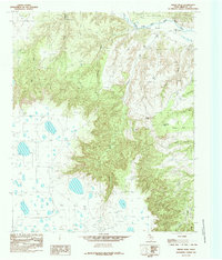 preview thumbnail of historical topo map of Briscoe County, TX in 1985
