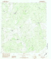 Download a high-resolution, GPS-compatible USGS topo map for Indio Tank, TX (1982 edition)