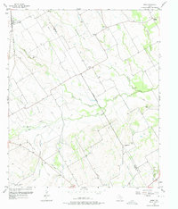 Download a high-resolution, GPS-compatible USGS topo map for Irene, TX (1975 edition)