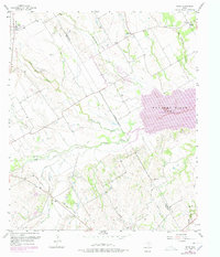 Download a high-resolution, GPS-compatible USGS topo map for Irene, TX (1978 edition)
