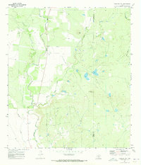 Download a high-resolution, GPS-compatible USGS topo map for Irishman Hill, TX (1973 edition)
