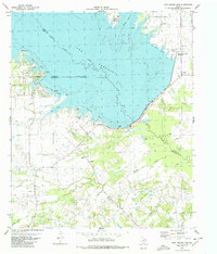Download a high-resolution, GPS-compatible USGS topo map for Iron Bridge Dam, TX (1980 edition)