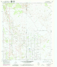 Download a high-resolution, GPS-compatible USGS topo map for Jal NE, TX (1980 edition)