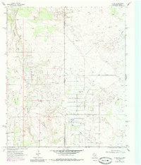 Download a high-resolution, GPS-compatible USGS topo map for Jal NE, TX (1985 edition)