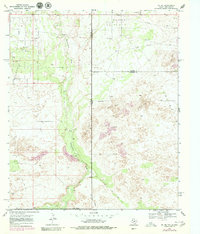Download a high-resolution, GPS-compatible USGS topo map for Jal SE, TX (1979 edition)