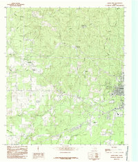 Download a high-resolution, GPS-compatible USGS topo map for Jasper West, TX (1985 edition)