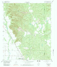 Download a high-resolution, GPS-compatible USGS topo map for Jayton North, TX (1983 edition)