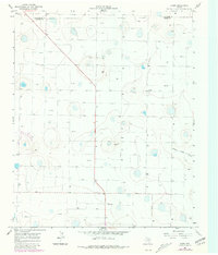 Download a high-resolution, GPS-compatible USGS topo map for Jumbo, TX (1981 edition)