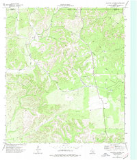 Download a high-resolution, GPS-compatible USGS topo map for Kickapoo Caverns, TX (1977 edition)