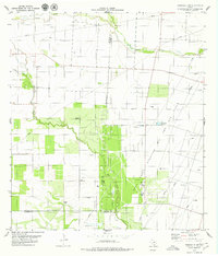 Download a high-resolution, GPS-compatible USGS topo map for Kingsville NW, TX (1979 edition)