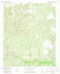 Download a high-resolution, GPS-compatible USGS topo map for Kiowa Peak NE, TX (1981 edition)