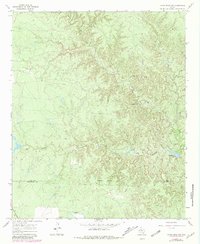 Download a high-resolution, GPS-compatible USGS topo map for Kiowa Peak NW, TX (1981 edition)