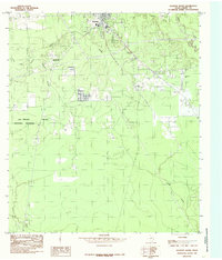 Download a high-resolution, GPS-compatible USGS topo map for Kountze South, TX (1985 edition)