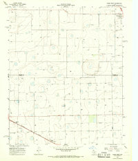 preview thumbnail of historical topo map of Hale County, TX in 1965