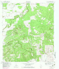 Download a high-resolution, GPS-compatible USGS topo map for La Coste NE, TX (1982 edition)