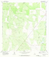 Download a high-resolution, GPS-compatible USGS topo map for La Gloria SW, TX (1975 edition)