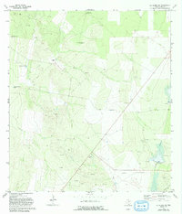Download a high-resolution, GPS-compatible USGS topo map for La Gloria SW, TX (1993 edition)