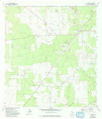 preview thumbnail of historical topo map of Starr County, TX in 1972