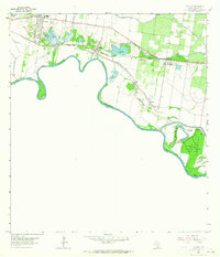 Download a high-resolution, GPS-compatible USGS topo map for La Joya, TX (1965 edition)