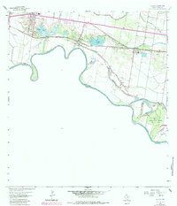 Download a high-resolution, GPS-compatible USGS topo map for La Joya, TX (1984 edition)