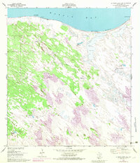 Download a high-resolution, GPS-compatible USGS topo map for La Parra Ranch NE, TX (1983 edition)