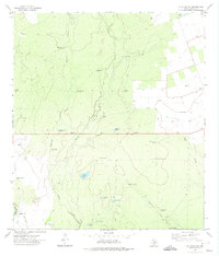 Download a high-resolution, GPS-compatible USGS topo map for La Pryor NW, TX (1974 edition)