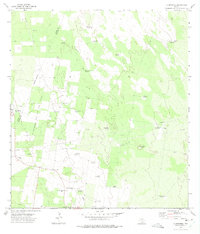 Download a high-resolution, GPS-compatible USGS topo map for La Reforma, TX (1975 edition)
