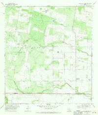 Download a high-resolution, GPS-compatible USGS topo map for Laguna Del Toro, TX (1971 edition)