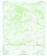 Download a high-resolution, GPS-compatible USGS topo map for Laguna Del Toro, TX (1991 edition)