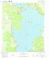 Download a high-resolution, GPS-compatible USGS topo map for Lake Buchanan, TX (1979 edition)