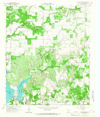 Download a high-resolution, GPS-compatible USGS topo map for Lake Eddleman, TX (1967 edition)
