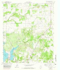 Download a high-resolution, GPS-compatible USGS topo map for Lake Eddleman, TX (1982 edition)