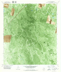 preview thumbnail of historical topo map of Refugio County, TX in 1979