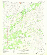 Download a high-resolution, GPS-compatible USGS topo map for Lake Victor, TX (1969 edition)