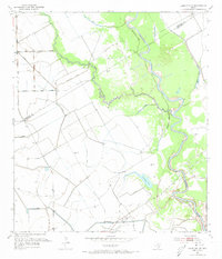 Download a high-resolution, GPS-compatible USGS topo map for Lane City SE, TX (1973 edition)