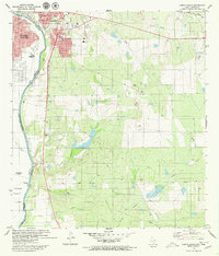 Download a high-resolution, GPS-compatible USGS topo map for Laredo South, TX (1980 edition)