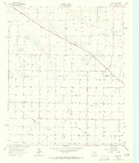 Download a high-resolution, GPS-compatible USGS topo map for Lariat, TX (1965 edition)