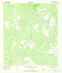 Download a high-resolution, GPS-compatible USGS topo map for Las Flores, TX (1971 edition)