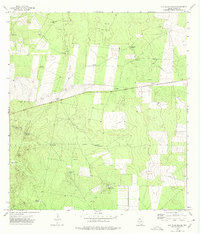 Download a high-resolution, GPS-compatible USGS topo map for Las Islas Ranch, TX (1975 edition)