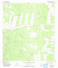 Download a high-resolution, GPS-compatible USGS topo map for Las Islas Ranch, TX (1993 edition)